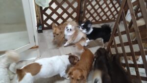 午前のお時間　2025/9/6