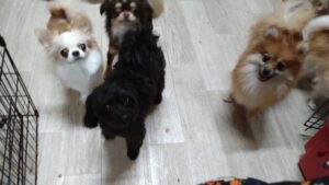 夜のお時間　2025/9/6