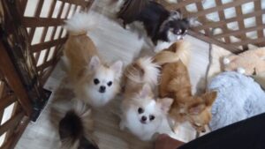 夜のお時間　2025/9/7