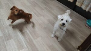 夜のお時間　2025/9/8