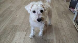 朝のお時間　2025/9/9