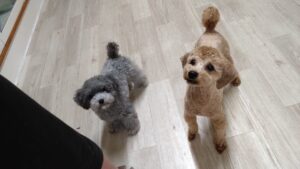 夜のお時間　2025/9/9