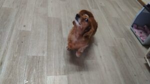 午前のお時間　2025/9/10