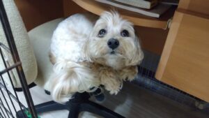 夜のお時間　2025/9/10