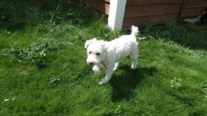 午前のお時間　2025/9/11