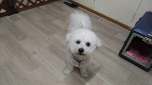 夜のお時間　2025/9/11