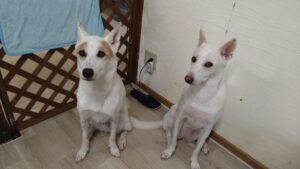 午前のお時間　2025/9/12