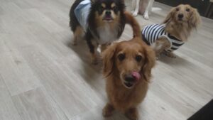 夜のお時間　2025/9/12