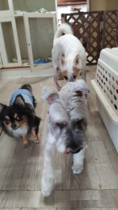 午前のお時間　2025/9/13