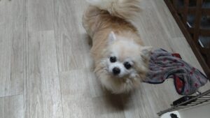 夜のお時間　2025/9/14