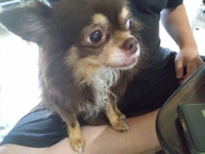 午前のお時間　2025/9/14