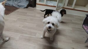 夜のお時間　2025/9/14