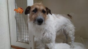 午前のお時間　2025/9/15