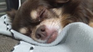 夜のお時間　2025/9/15