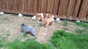 午前のお時間　2025/9/16