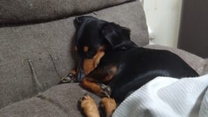 夜のお時間　2025/9/16