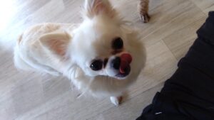 午前のお時間　2025/9/17