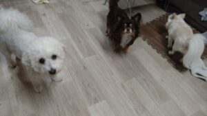 夜のお時間 2025/9/17