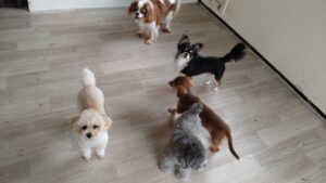 午前のお時間　2025/9/18