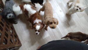 夜のお時間　2025/9/18