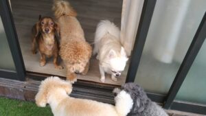 午前のお時間　2025/9/19