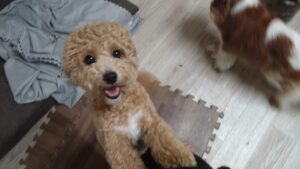 夜のお時間　2025/9/19