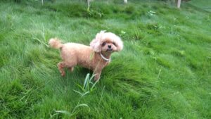 午前のお時間　2025/9/20