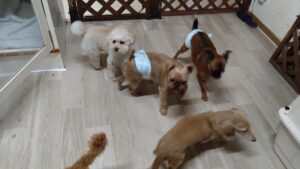 夜のお時間　2025/9/20