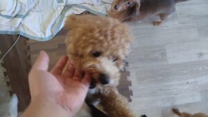 午前のお時間　2025/9/21