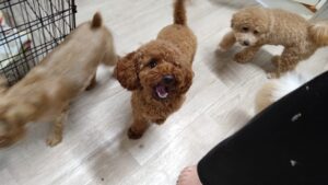 夜のお時間　2025/9/21