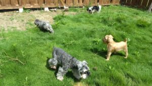 午前のお時間　2025/9/22