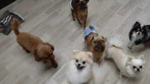 夜のお時間　2025/9/22