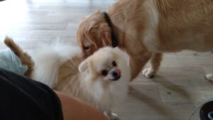 午前のお時間　2025/9/23