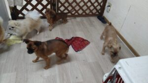 夜のお時間　2025/9/23