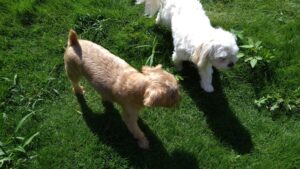 午前のお時間　2025/9/24