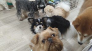 夜のお時間　2025/9/24