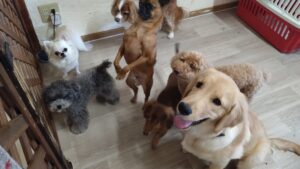 午前のお時間　2025/9/25