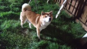 夜のお時間　2025/9/25