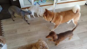 午前のお時間　2025/9/26