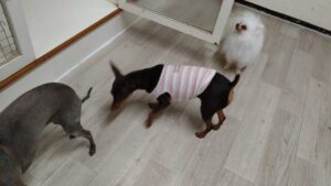 夜のお時間　2025/9/27