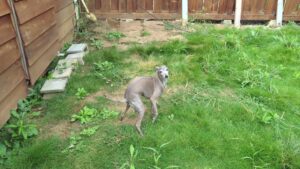 朝のお時間　2025/9/28