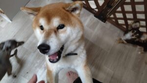 夜のお時間　2025/9/28