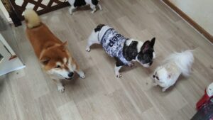 午前のお時間　2025/9/29