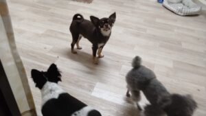 夜のお時間　2025/9/29