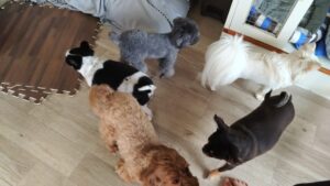 午前のお時間　2025/9/30