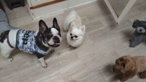 夜のお時間　2025/9/30