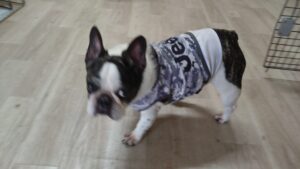 午前のお時間　2025/10/1