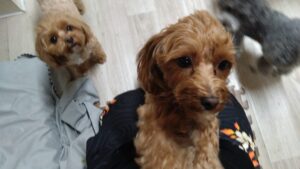 夜のお時間　2025/10/1