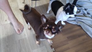 午前のお時間　2025/10/2