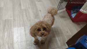 夜のお時間　2025/10/2